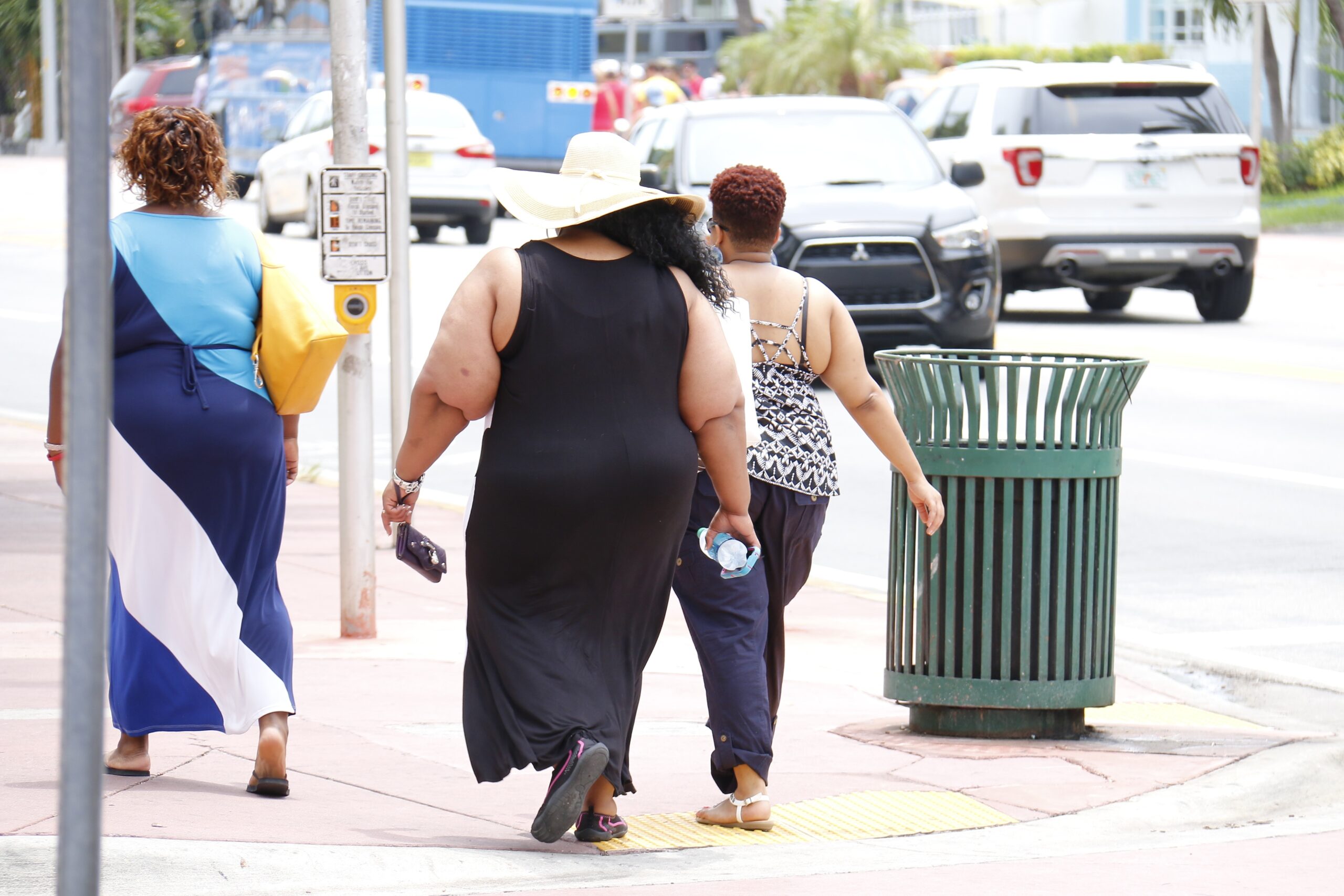 Global Obesity Crisis: Insights from the Lancet Study