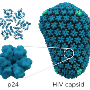 New Hope in HIV Prevention: Biannual Injections Versus Daily Pill