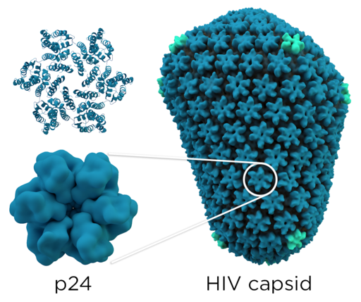 New Hope in HIV Prevention: Biannual Injections Versus Daily Pill